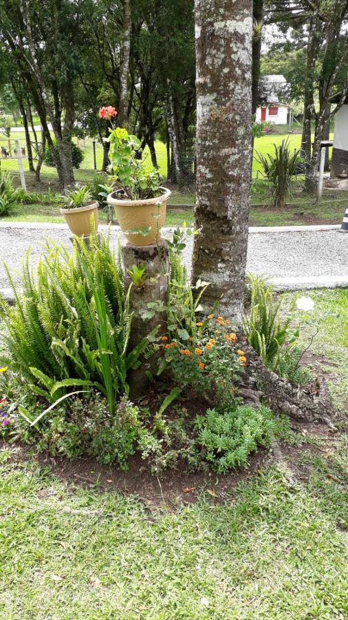 Recanto Do Saiqui Canela Exteriér fotografie
